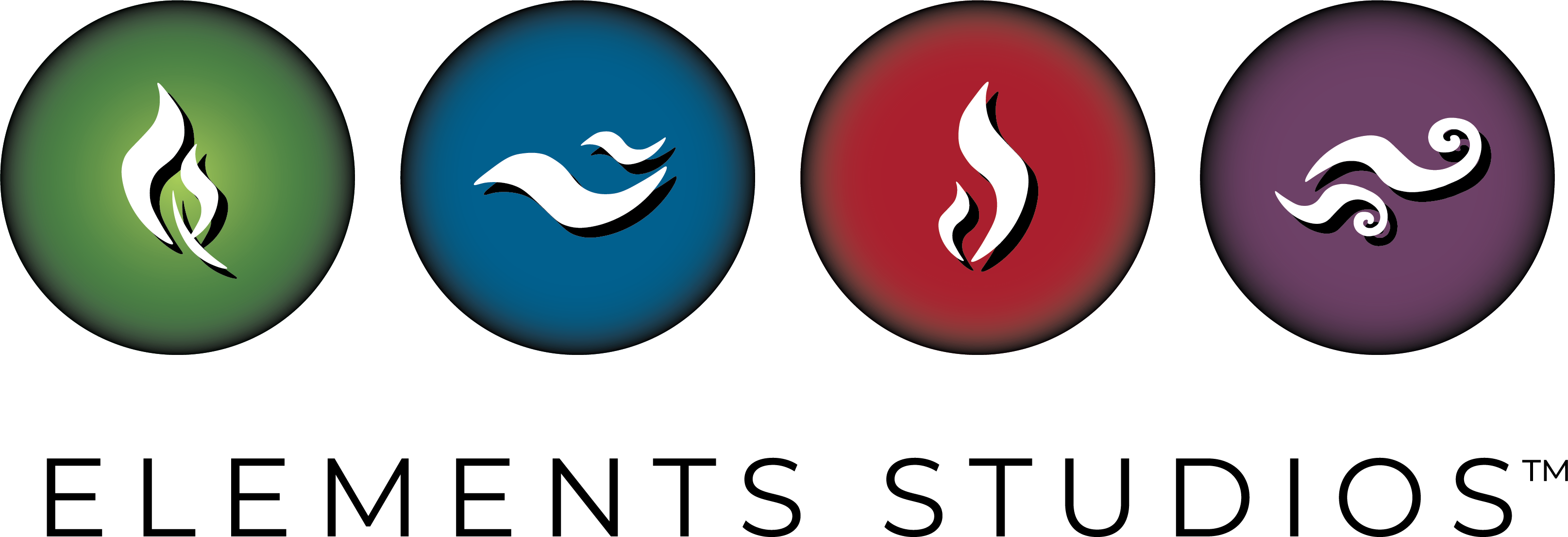 Elements Fitness Studios